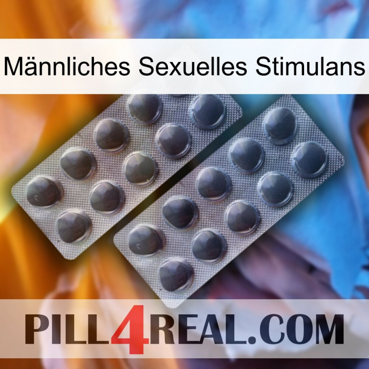 Männliches Sexuelles Stimulans 31